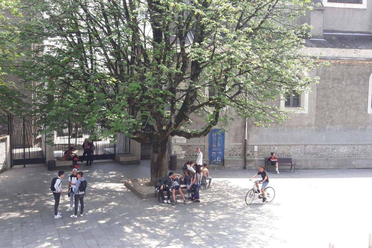 Un Appartement Lumineux Au Parc Beaumont Pau Exteriör bild